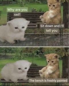 Stupid Bar Memes 68a817efc756f