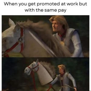 Stupid Bar Memes 68ac74c7f1c1a