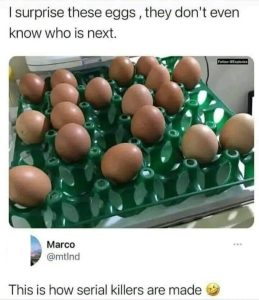 Stupid Bar Memes 7062301s905797