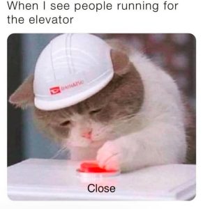 Stupid Bar Memes 7653s69212