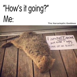 Stupid Bar Memes 89899s92230