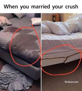 Stupid Bar Memes 94196s40268