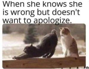 Stupid Bar Memes 993383s69333