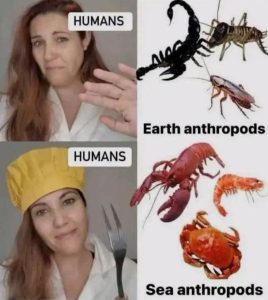 Stupid Bar Memes aE0QGepssb