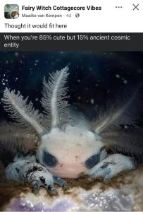 Stupid Bar Memes abAdygBssb