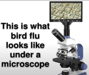 Stupid Bar Memes bicopescash