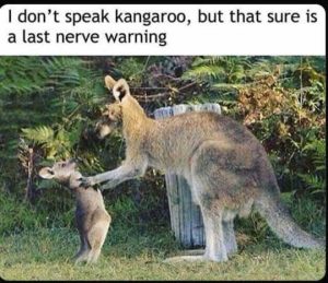 Stupid Bar Memes dontsspeakgarooslastsnervesw
