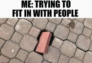 Stupid Bar Memes f6794355d8b627d