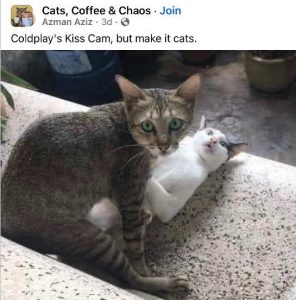 Stupid Bar Memes fbsssscamsbutswithsca