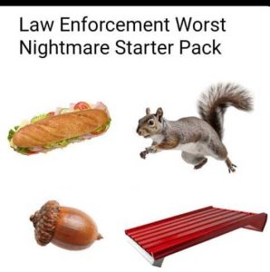 Stupid Bar Memes lawsenforcsnightmare