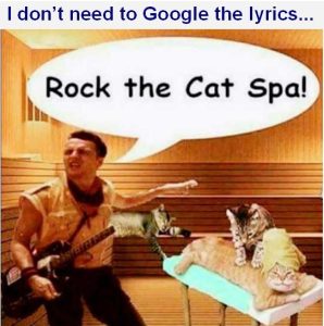 Stupid Bar Memes rockascasbahslyrics