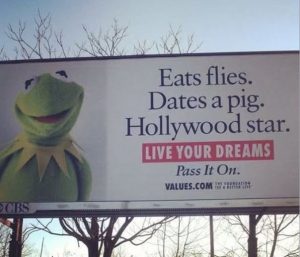 Stupid Bar Memes tssfliessdates