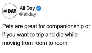 Stupid Bar Memes xsompanionsstripsdie