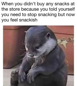 Stupid Bar Memes 07a54a2ac2b1462