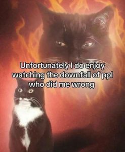 Stupid Bar Memes 139f3e4391f4