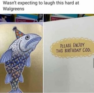 Stupid Bar Memes 190b19d4ae27c