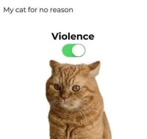 Stupid Bar Memes 2112a2e665f
