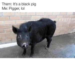 Stupid Bar Memes 2f8851aa6d0820