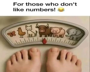 Stupid Bar Memes 34c782451ea
