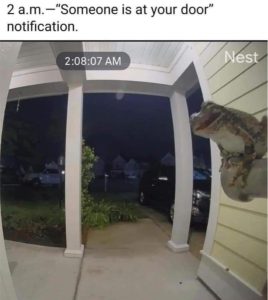 Stupid Bar Memes 3924652s72911