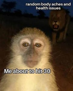 Stupid Bar Memes 3e4610812faa507