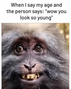 Stupid Bar Memes 438f76418e