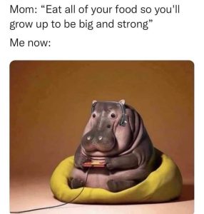 Stupid Bar Memes 454s89674