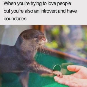 Stupid Bar Memes 547367s7806