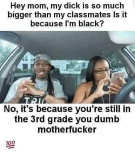 Stupid Bar Memes 5c1614193bedb
