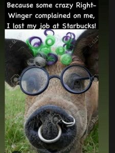 Stupid Bar Memes 6bdf74a4c8ab