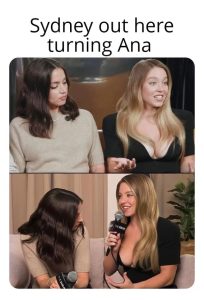 Stupid Bar Memes 77106ca740db4975