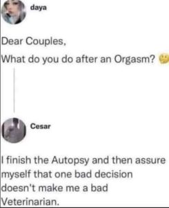 Stupid Bar Memes 8a3e32d988e9137