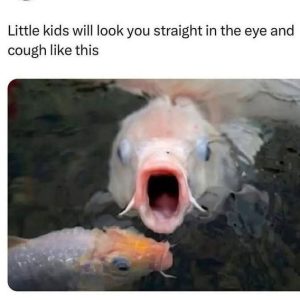 Stupid Bar Memes 8eb52166e48