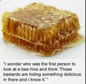 Stupid Bar Memes 915e6efb788