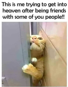 Stupid Bar Memes IMGs4931