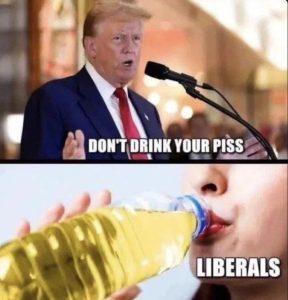 Stupid Bar Memes a0eWYjQss