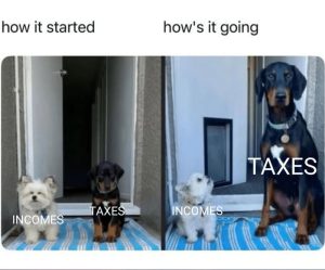 Stupid Bar Memes a34p7Rrss