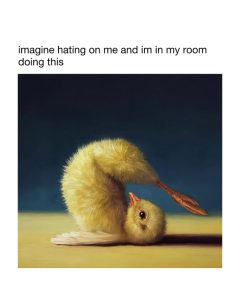 Stupid Bar Memes a34pRj5ssb