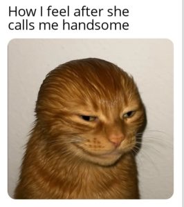 Stupid Bar Memes a5QyZWNss