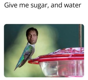 Stupid Bar Memes a6ZxDXqss
