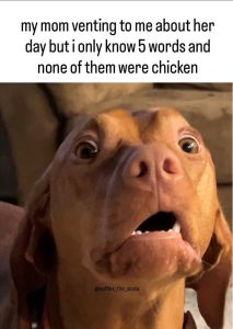 Stupid Bar Memes a87X5wYssb