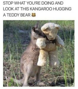 Stupid Bar Memes a94b645605c358