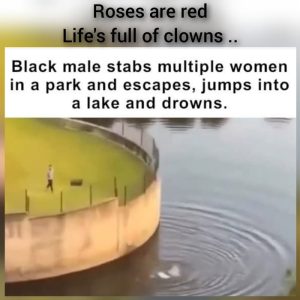 Stupid Bar Memes a9yV951s700b