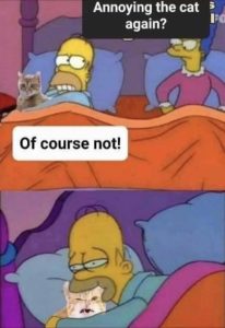 Stupid Bar Memes aByNK42ss