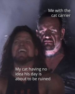 Stupid Bar Memes aD2NmWKss