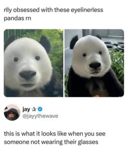 Stupid Bar Memes aGyNVVzss