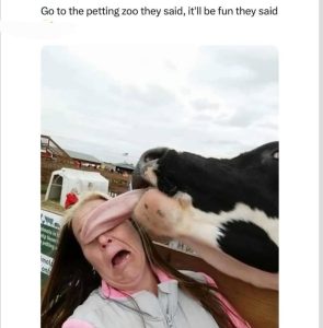Stupid Bar Memes aLnN2oVss