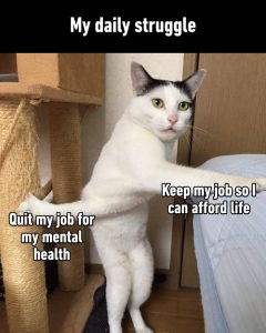Stupid Bar Memes aNDqpn3s700b