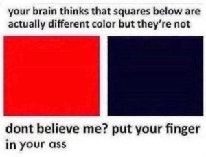 Stupid Bar Memes aO8Ndz3ss