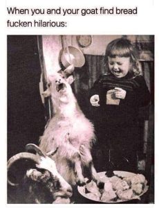 Stupid Bar Memes aPApDGns700b